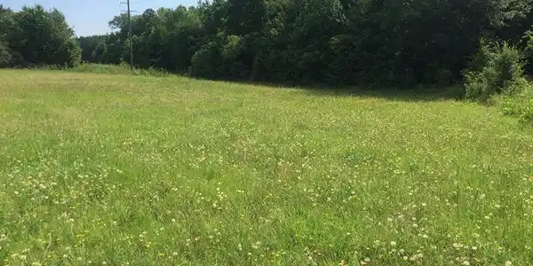 Smyrna Hill Road