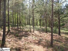 00 Abaco Lane
