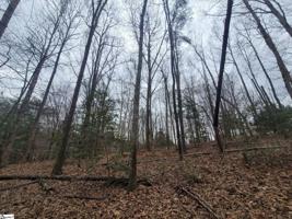 0 Chigger Creek Road