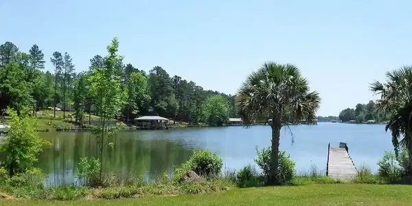 00 pineland Road