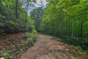 0 Caledonia Loop