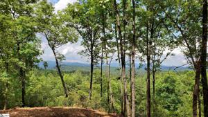 Keowee turtlehead Road