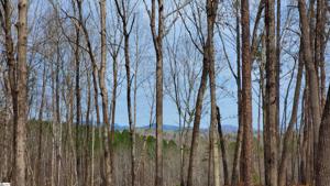 Cliff Shore Parkway