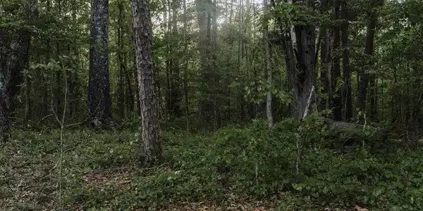 Rest Road