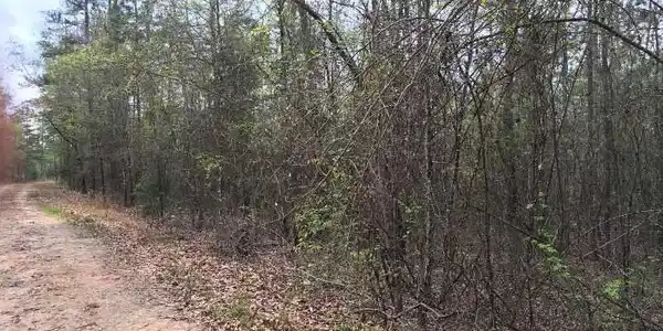 00 River Fork Road