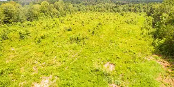 14019 Neely Ferry Road