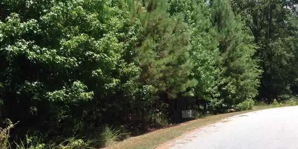 21 Nature Drive