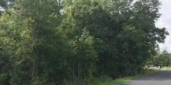 000 Serene Drive