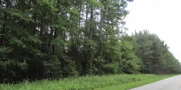 Highway 39