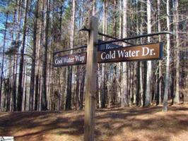 318 Cool Water Way
