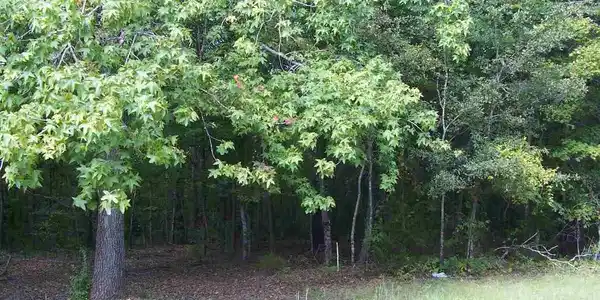 Rabon Creek Circle