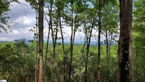 Keowee Turtlehead Road