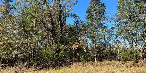 00 Dillard Road