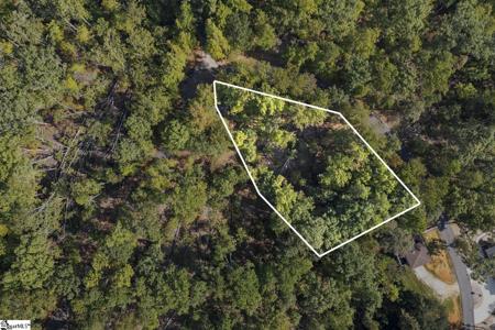142 Summit Pine