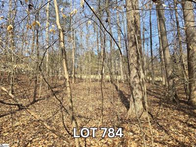 Lot 784 S Hogan Drive