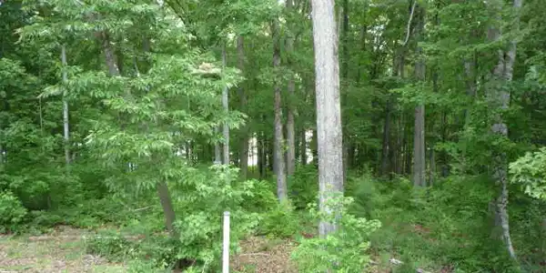 lot 28 Terrapin Pointe