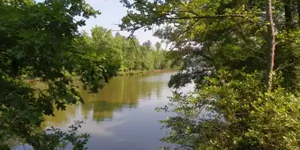 926 Eagles Harbor