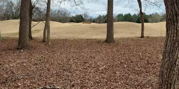 102 Swing About