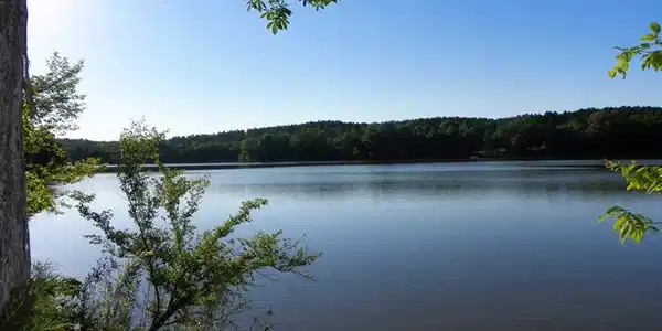 415 Terrapin Pointe Rd