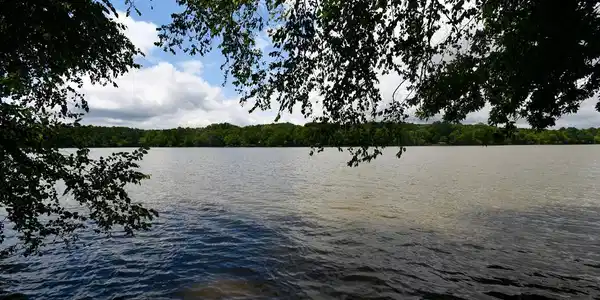 Lt 16 Catfish Cove Rd