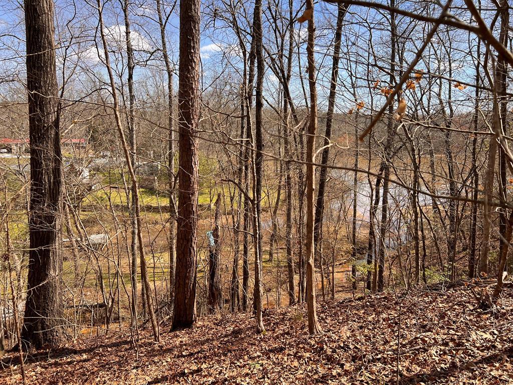 Image 3: Lake View!