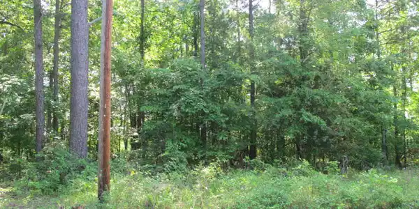 000 Lot 20/21 Edgewater Rd 