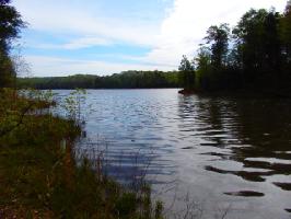 33 Lot 33 Charlie's Creek Rd 