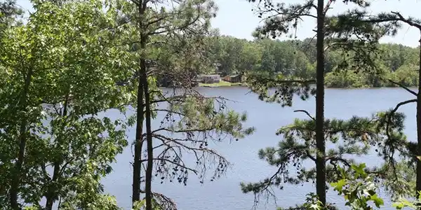 706 Eagles Harbor Dr 