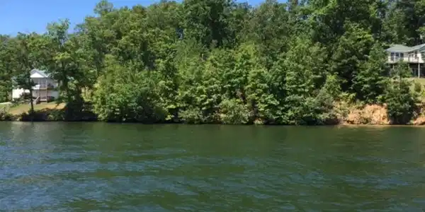 Lot 9 Nature Drive