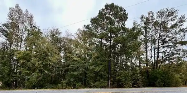 14553 Hwy 221