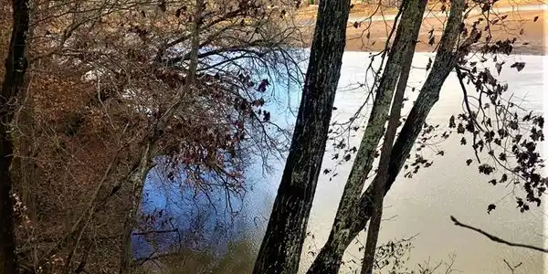 417 Terrapin Pointe Road