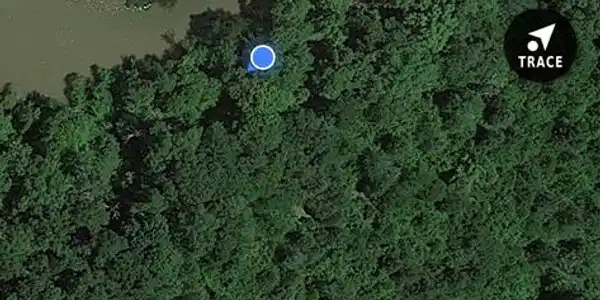 309 Terrapin Pointe Road
