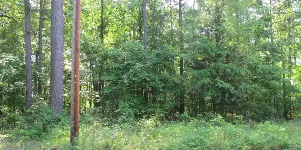 000 Lot 20 & 21 Edgewater Rd