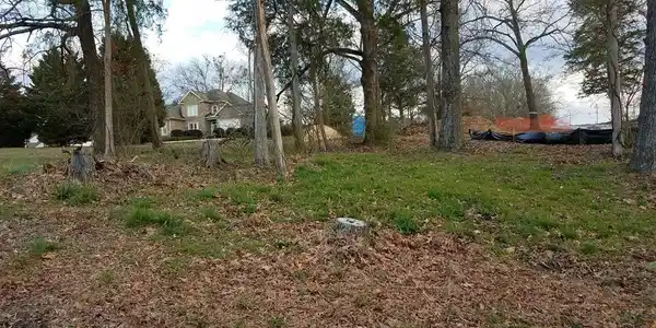 000 Reedy Cove Ct