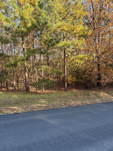 357 Watersedge Dr.
