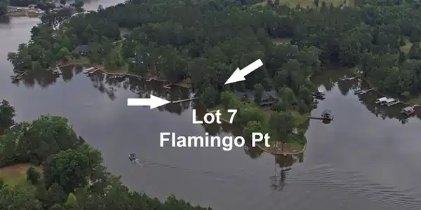 Lot 7 Flamingo Pt 