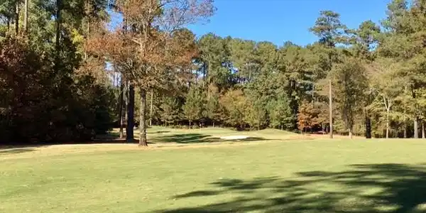 215 Swing About