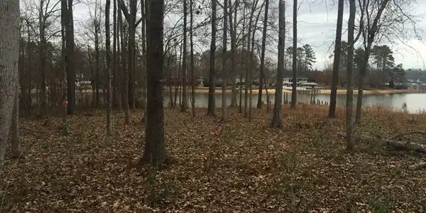 245 Headwater