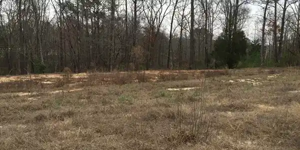183 Saluda River Circle