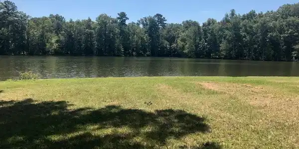 214 Swing About