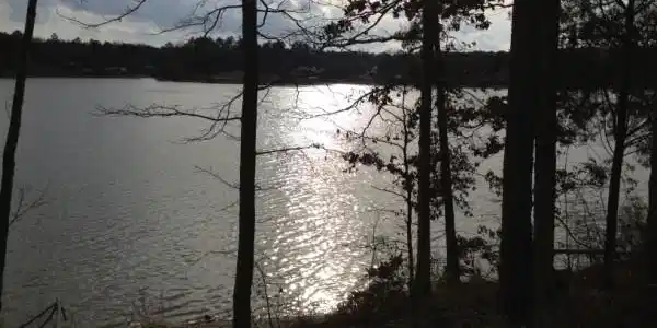 Lot 120 Seabright
