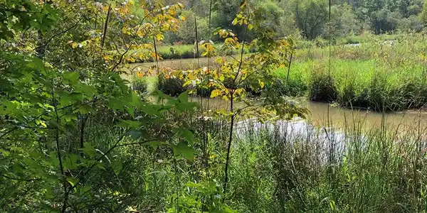 519 Terrapin Point Rd
