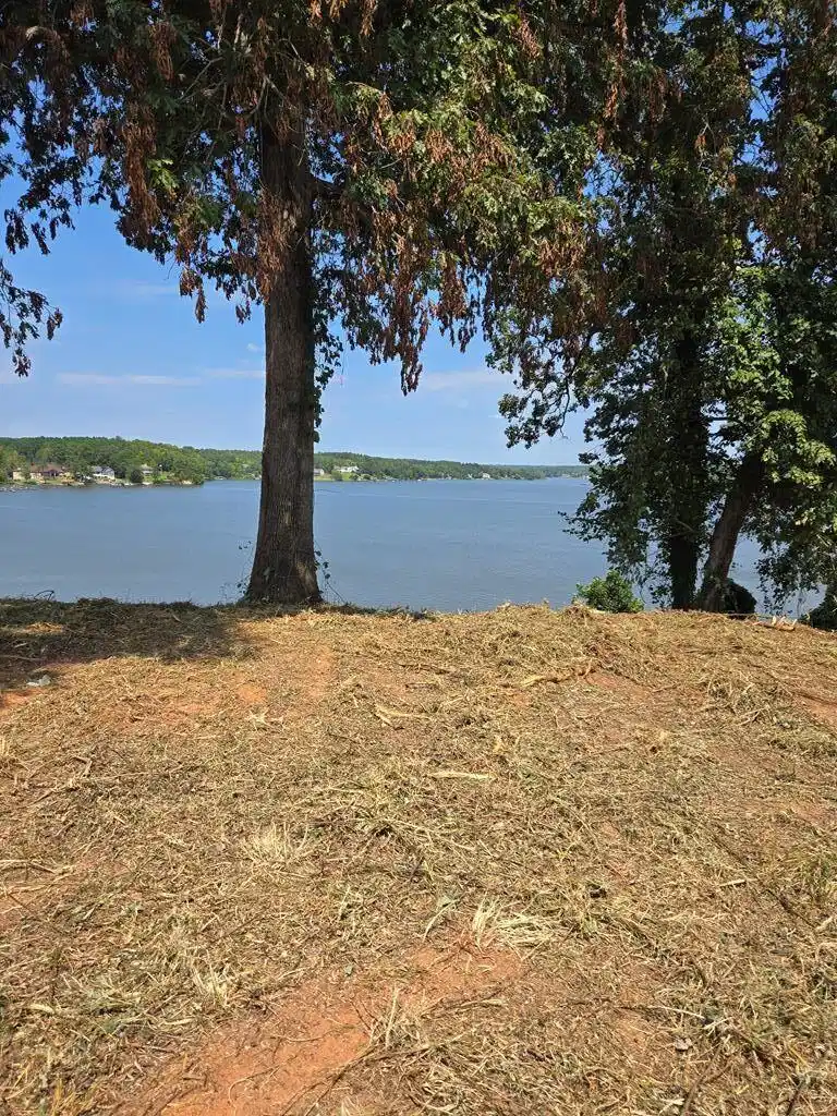 Image 1: Main View