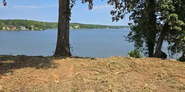 210 Bluff Rd