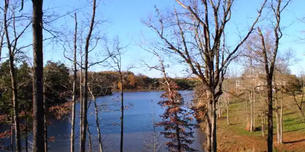 248 Gardenia Dr. 