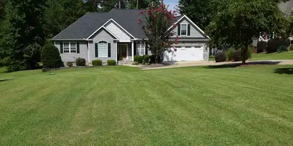 1896 Summerset Bay Dr