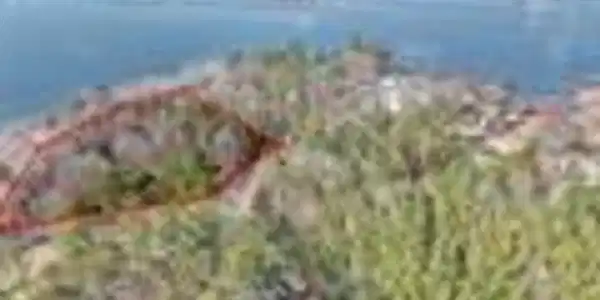 Scurry Island Road