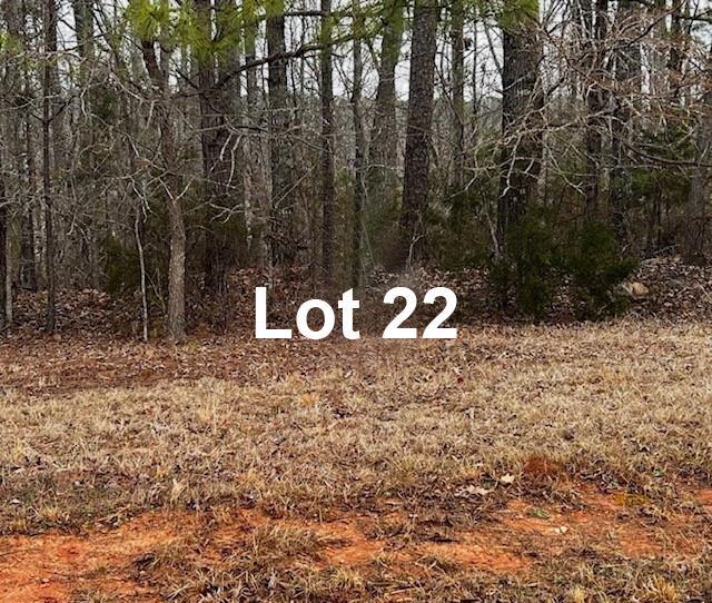 Image 2: Lot is 1.6 Acres