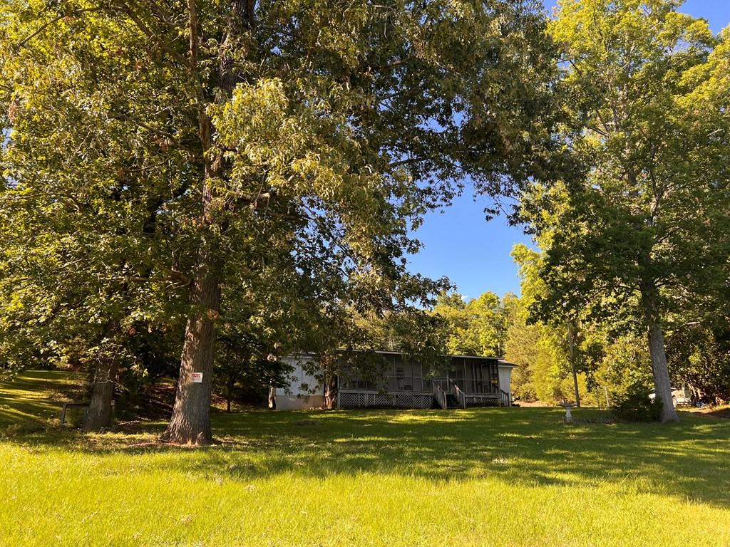 Image 4: MATURE SHADE TREES