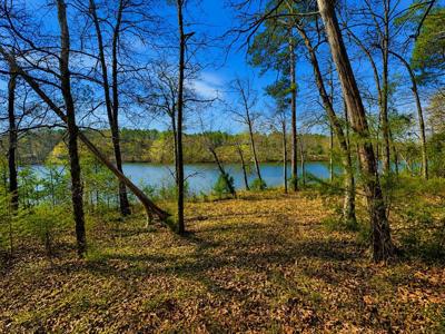 519 Terrapin Pointe Rd